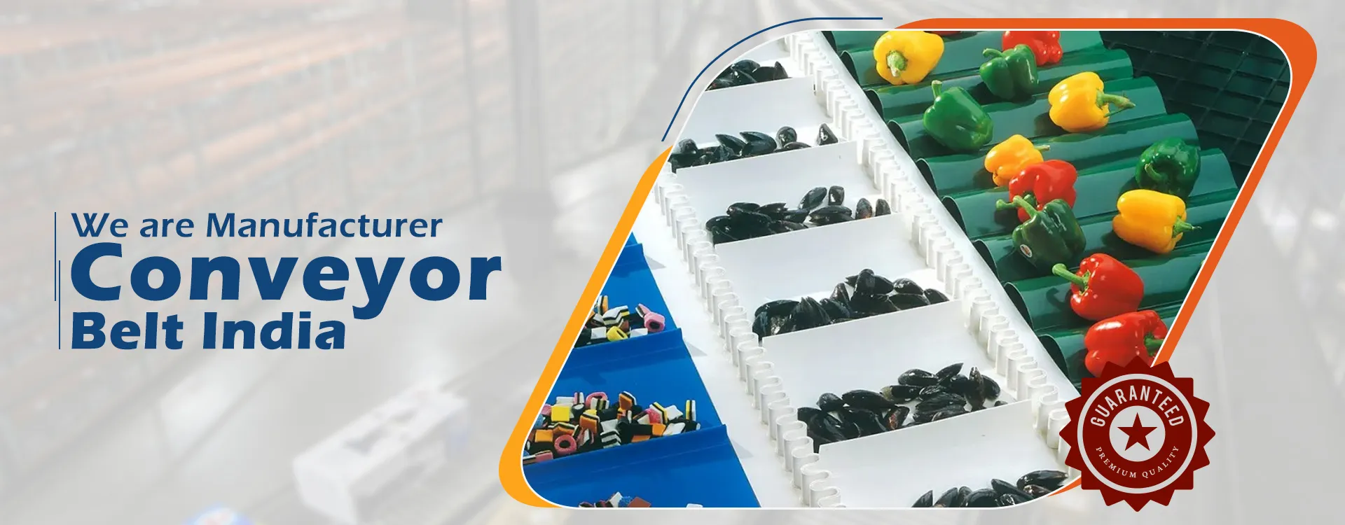 Conveyor Belt India